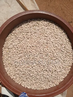 Quality Cowpea in Bowls