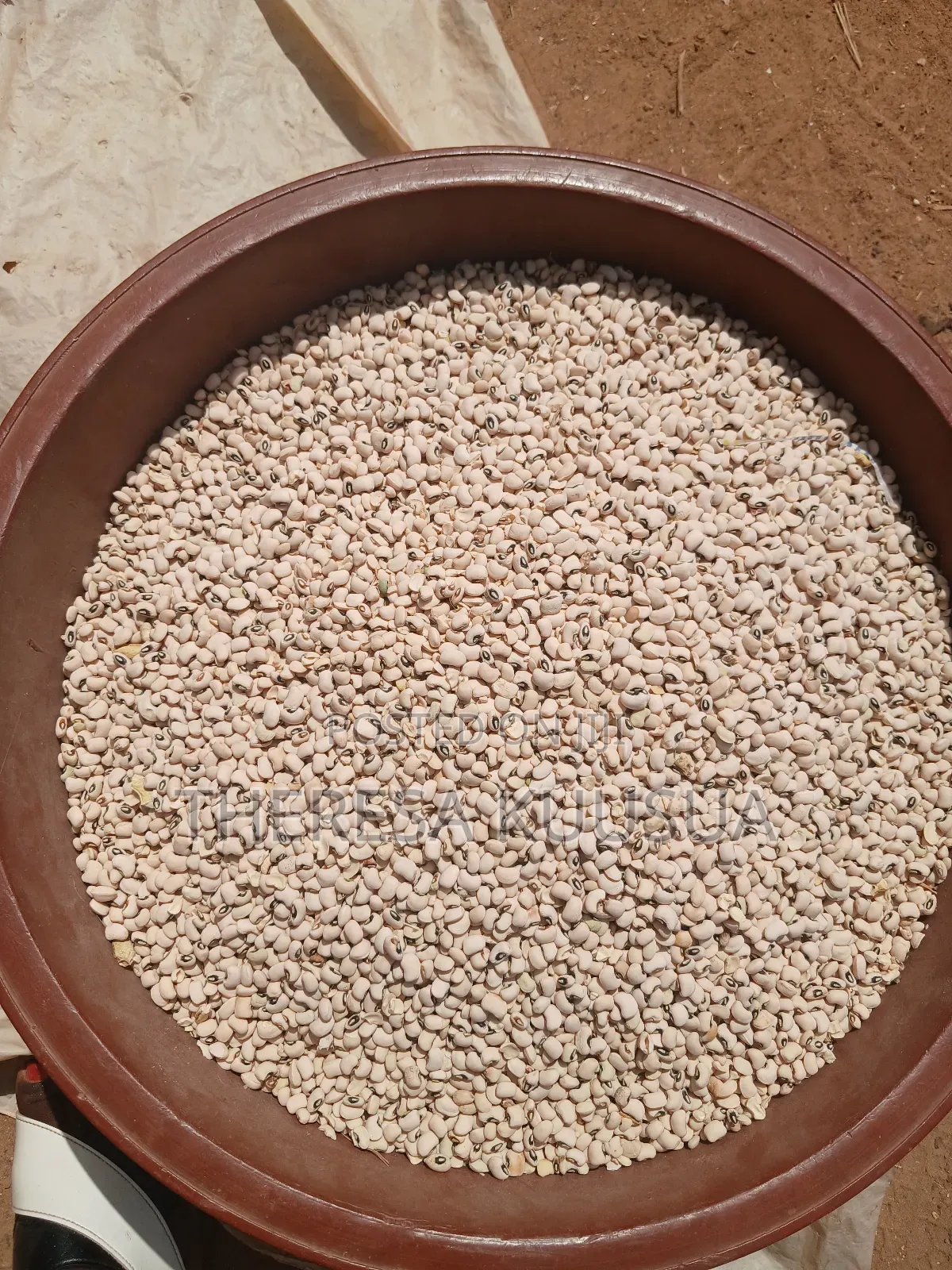 Quality Cowpea in Bowls