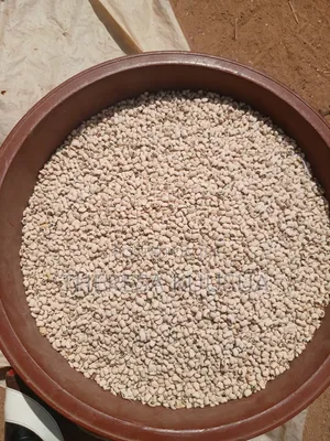 Quality Cowpea in Bowls