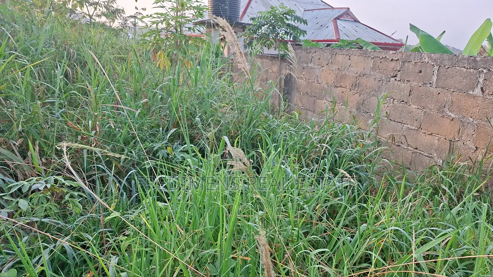 Land at Adubinsu-Biaa for Sale