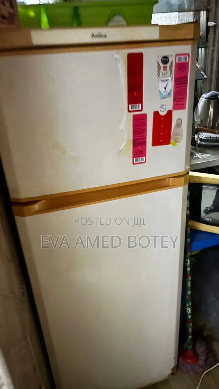 Double Door Fridge