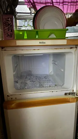 Double Door Fridge