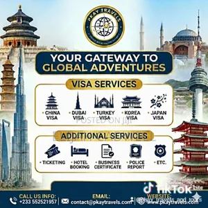 Visa Processing Aid