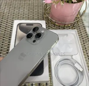 Apple iPhone 15 Pro Max 256 GB Silver