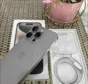 Apple iPhone 15 Pro Max 256 GB Silver