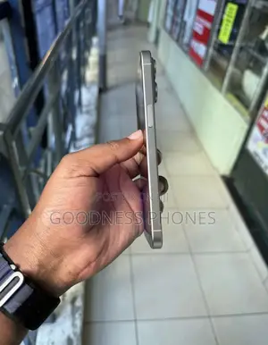 Apple iPhone 15 Pro Max 256 GB Silver