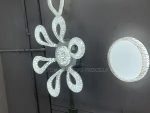 Ceiling Light
