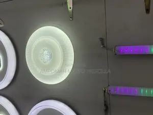 Ceiling Light