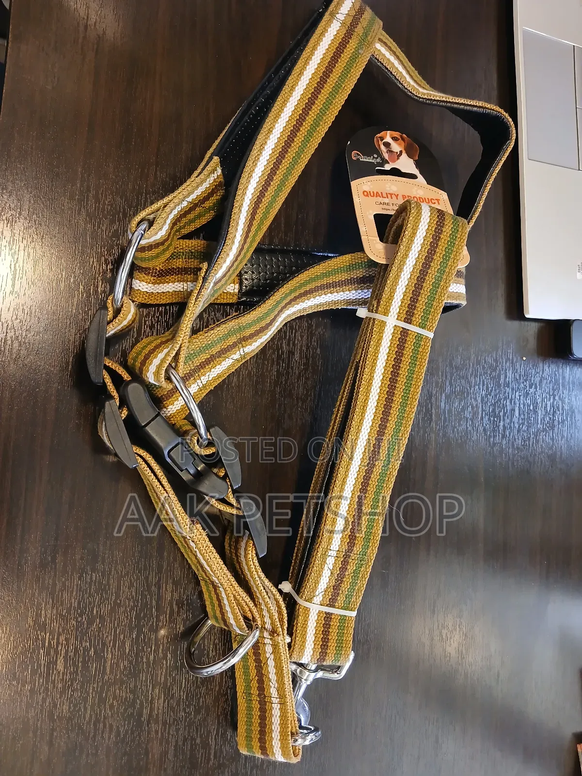 Harnesses Leash