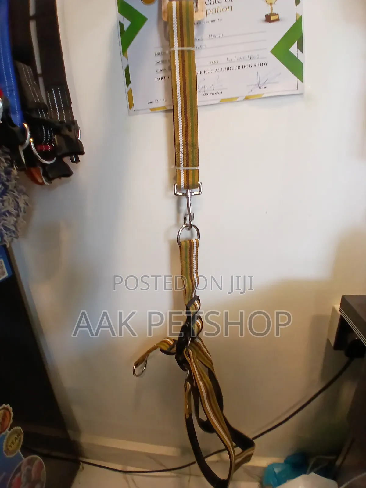 Harnesses Leash