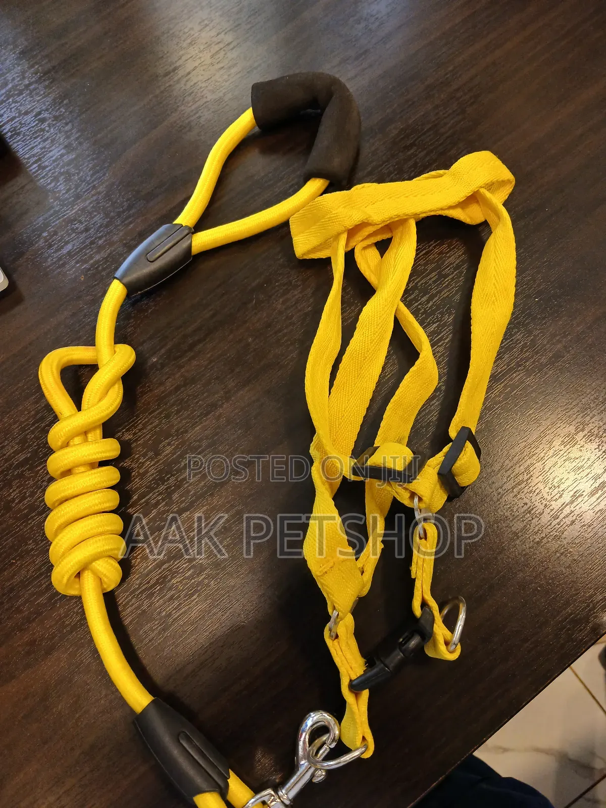 Leash and Harness