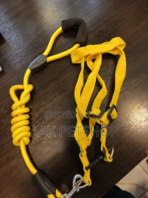 Leash and Harness