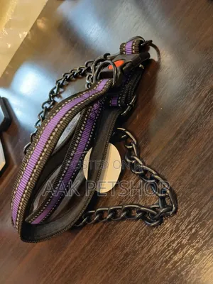Metal Black Leash and Collar