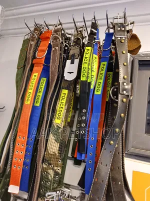 Collar for Dogs