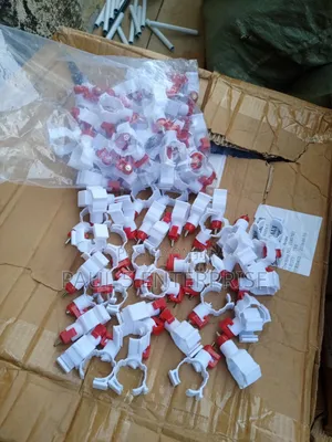 Chicken Nipples Without Cup Wholesale and Retail