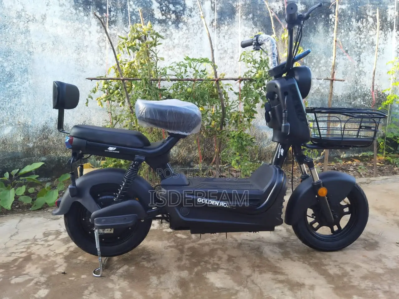 Electric Bike for Adults, Ghana