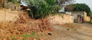 Title Registered 4 Plots of Land West Legon