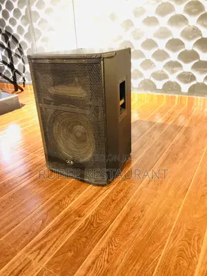 JLD 15 Inch Speaker