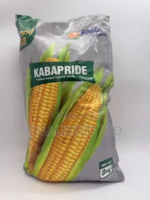 Hybrid Maize Kabapride