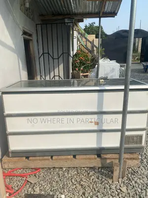 Commercial Chest Freezer