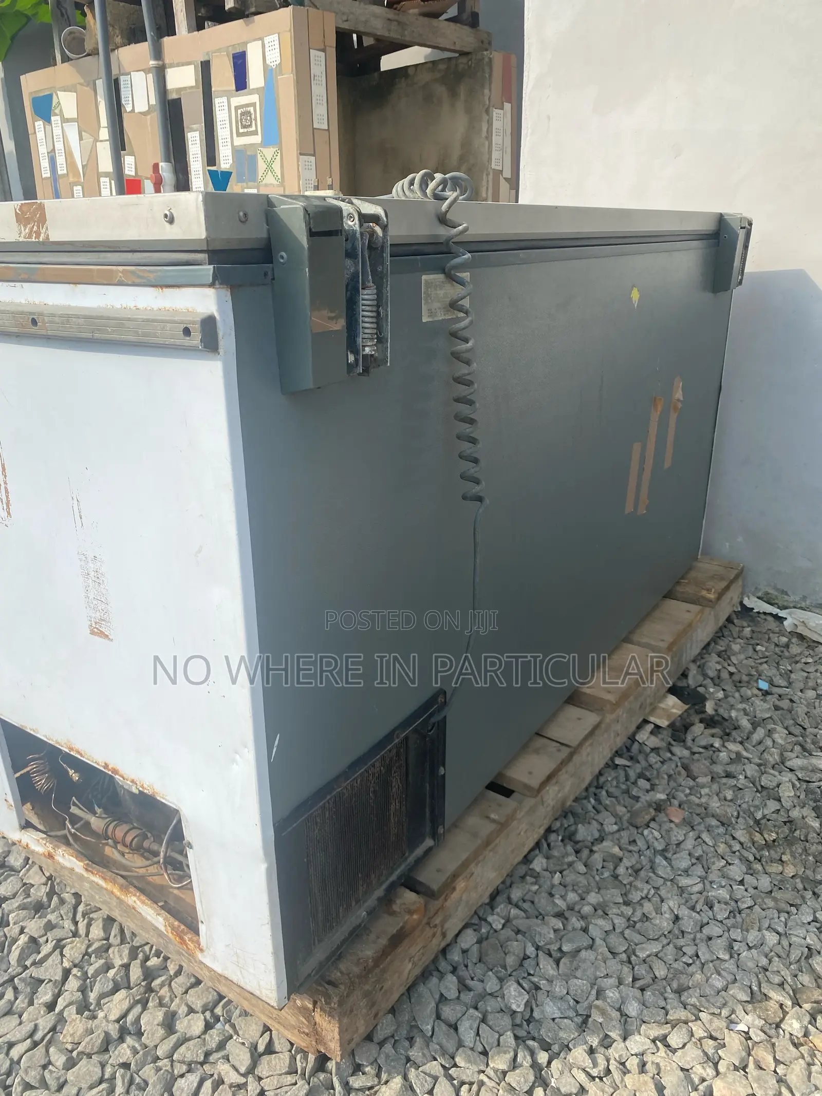 Commercial Chest Freezer