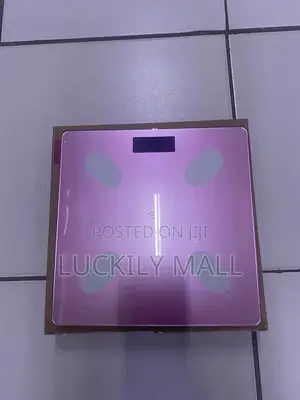 A Chargeable Body Scale