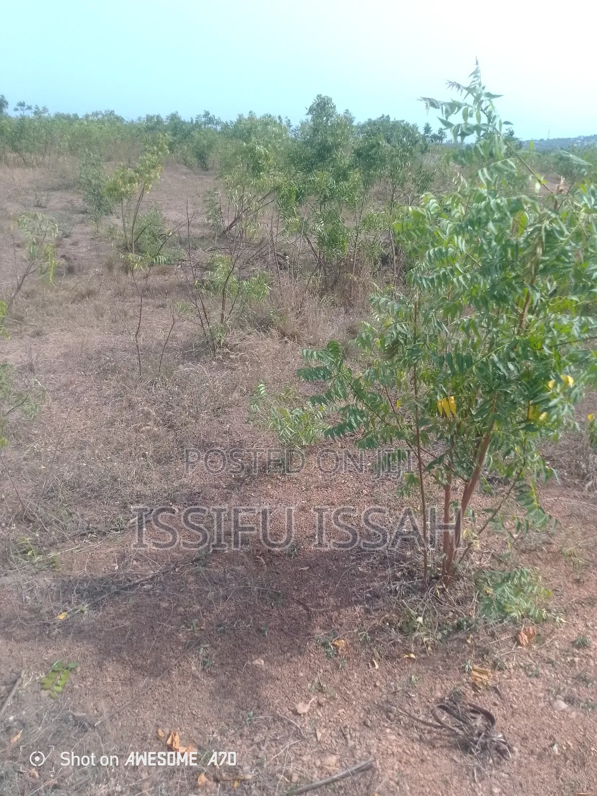 Three Plots of Land