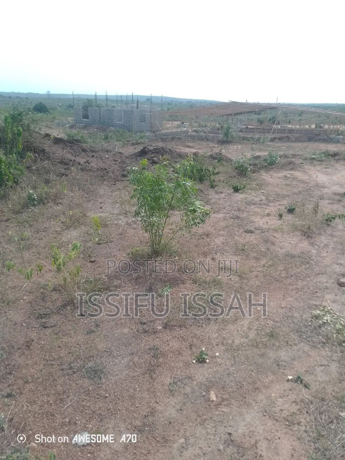 Three Plots of Land