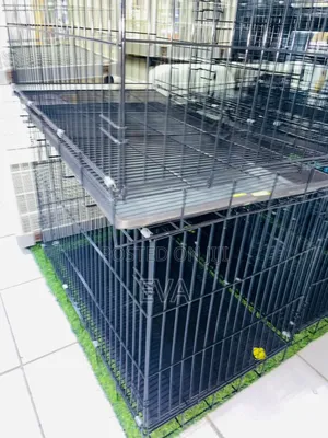 Big Dog Cage G