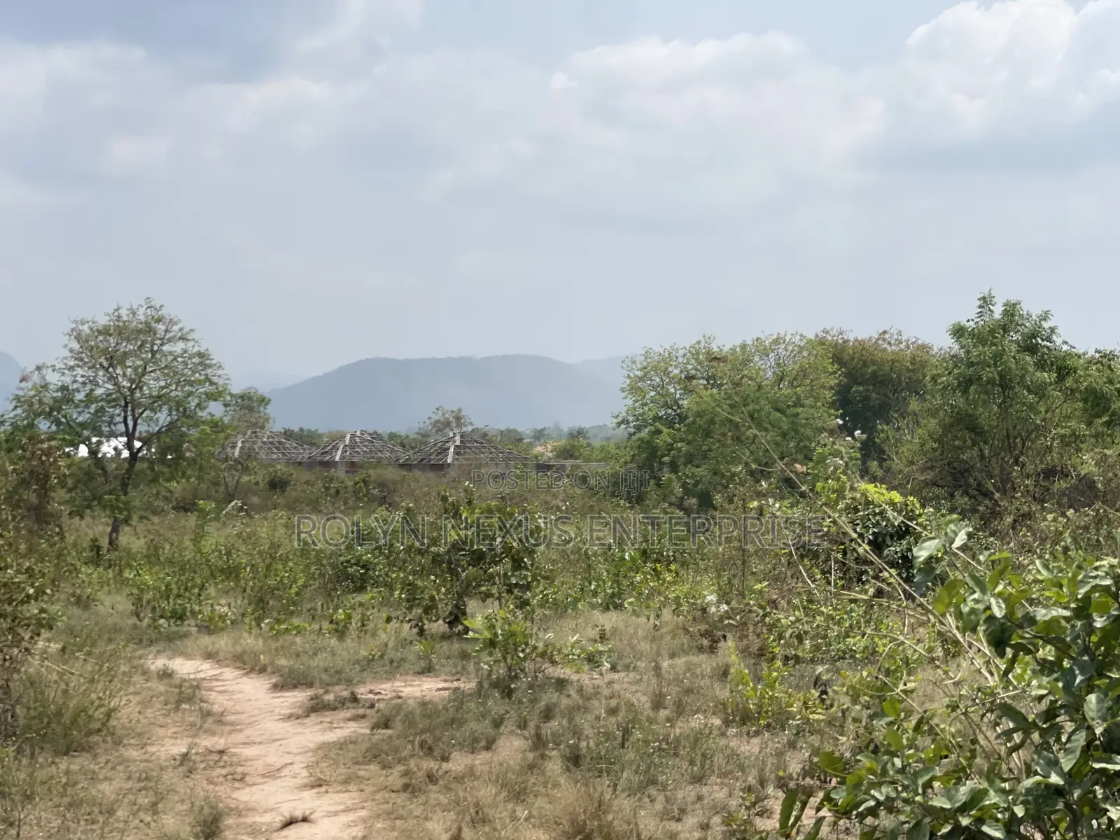40 Acres of Land With Crops