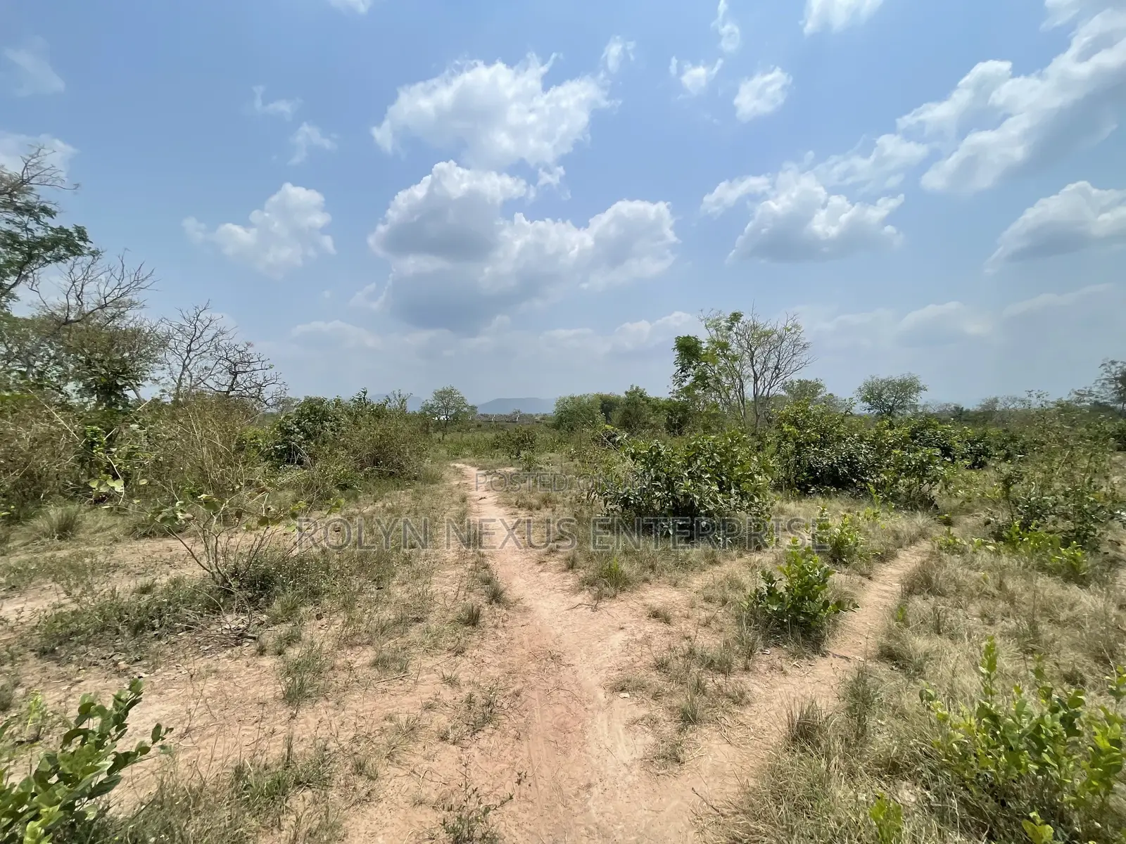 40 Acres of Land With Crops