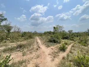40 Arches of Land With Crops
