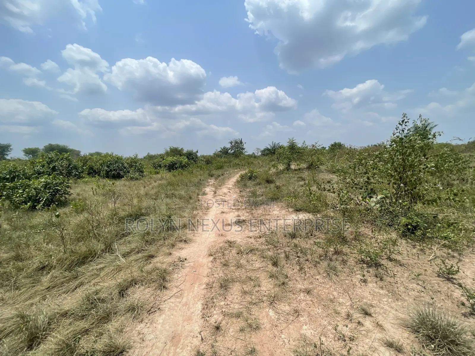 40 Acres of Land With Crops