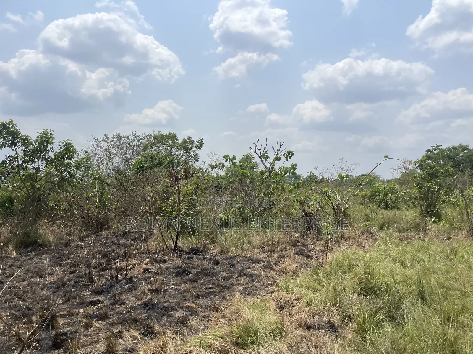 40 Acres of Land With Crops