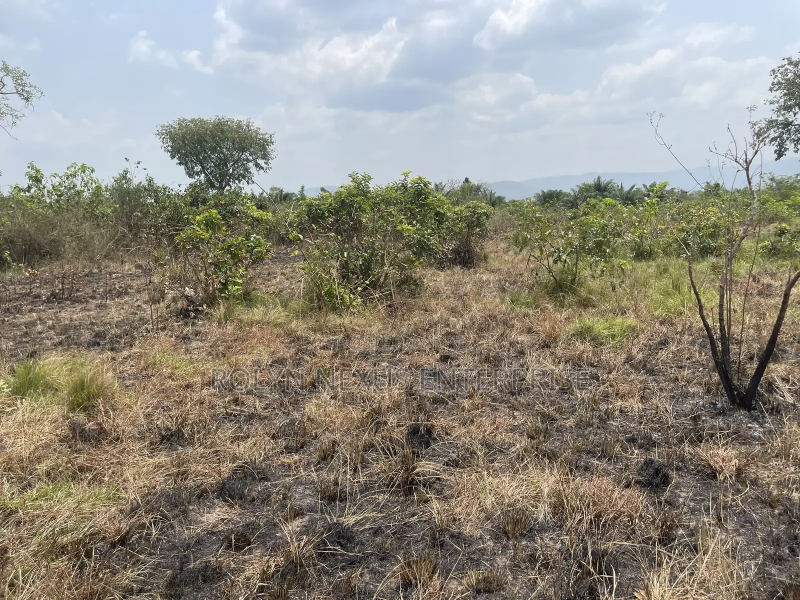 40 Acres of Land With Crops