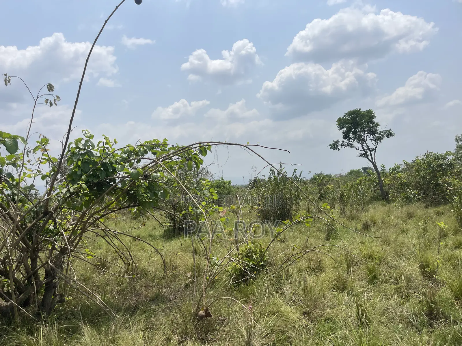 40 Arches of Land With Crops