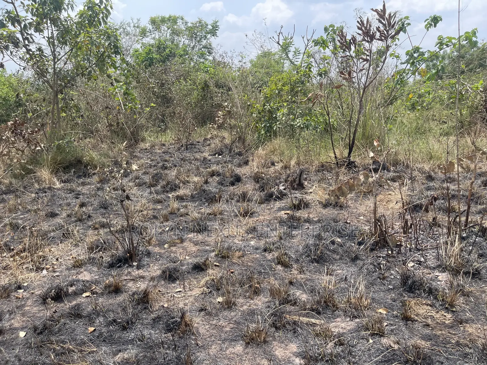 40 Acres of Land With Crops