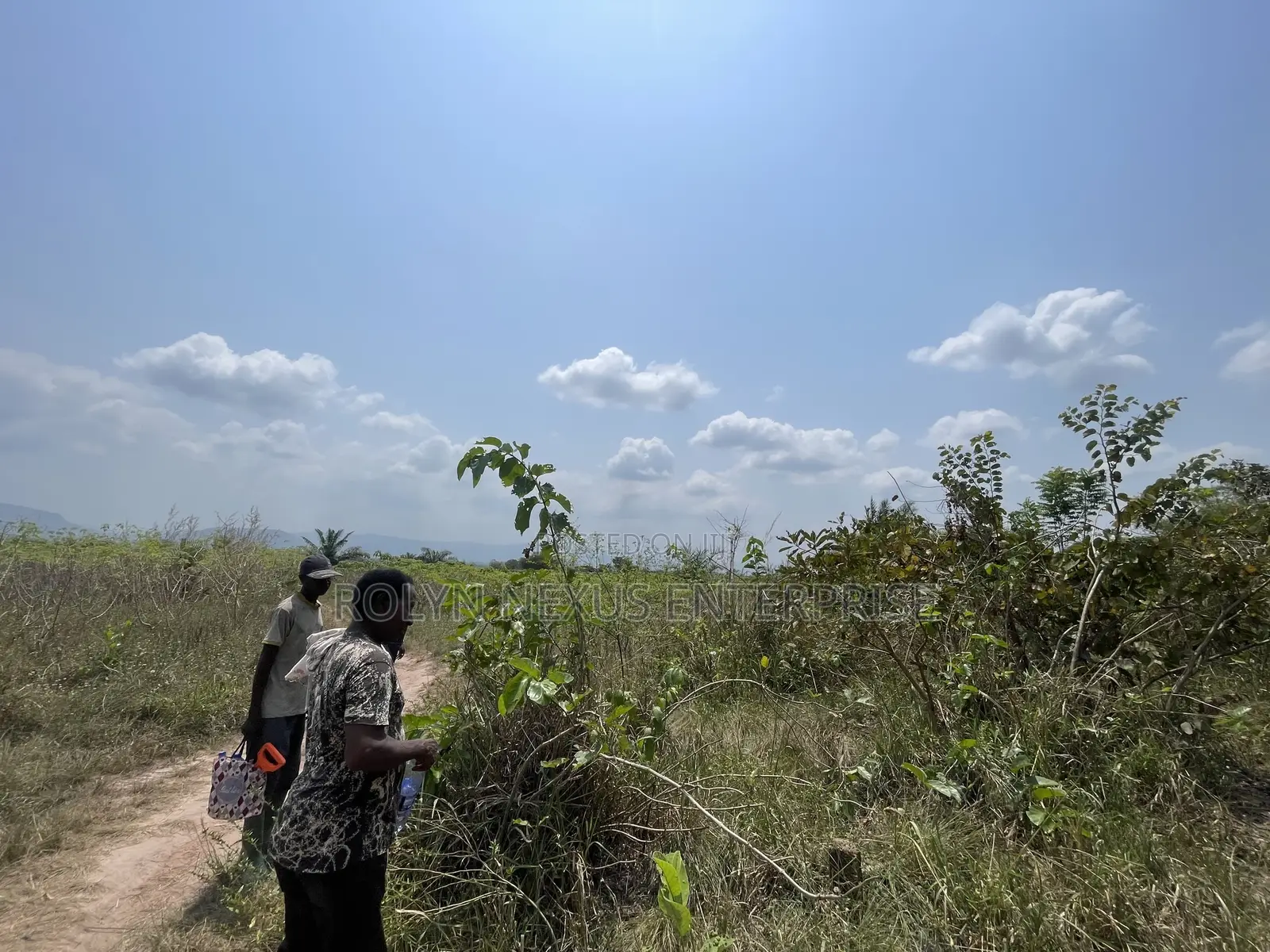 40 Acres of Land With Crops