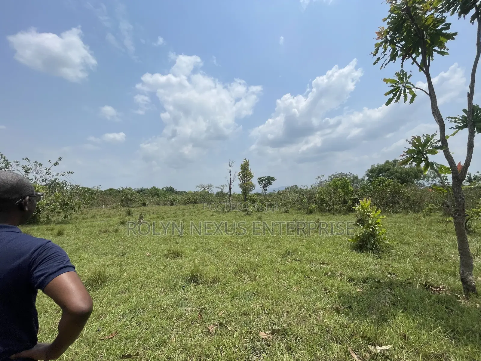 40 Acres of Land With Crops