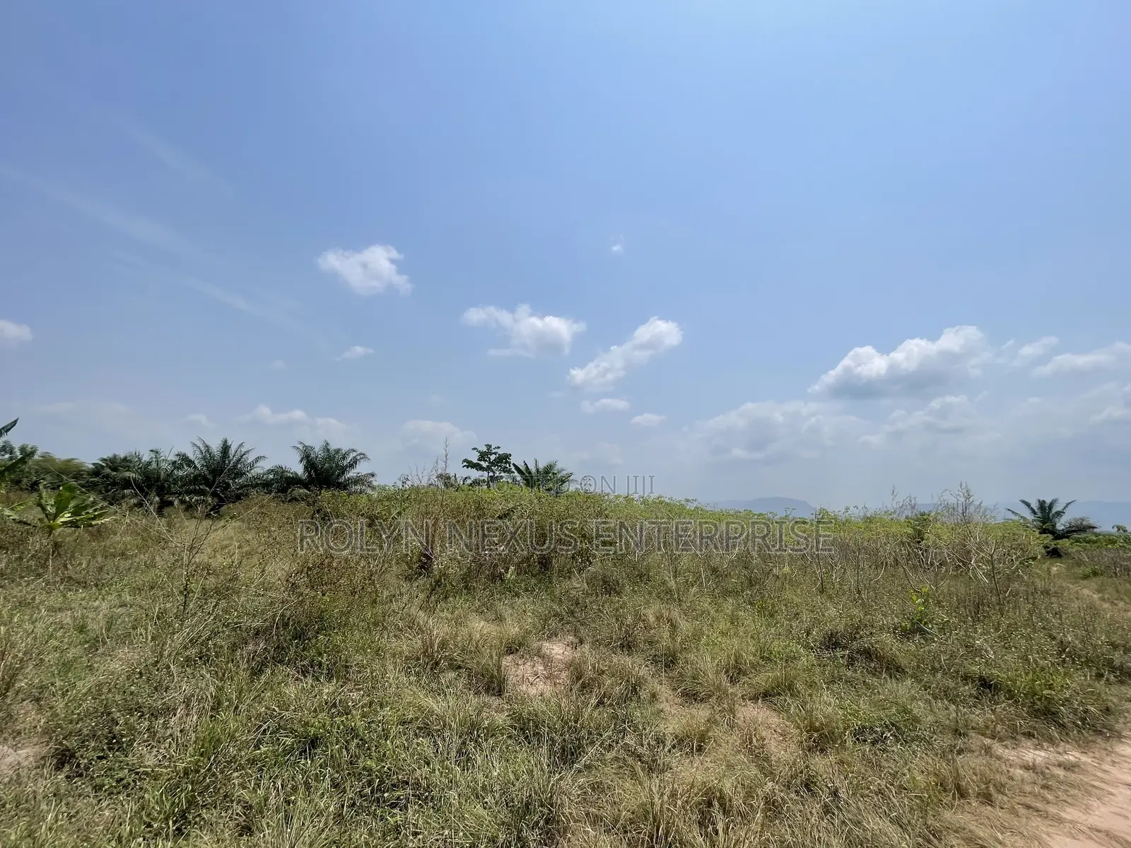 40 Acres of Land With Crops