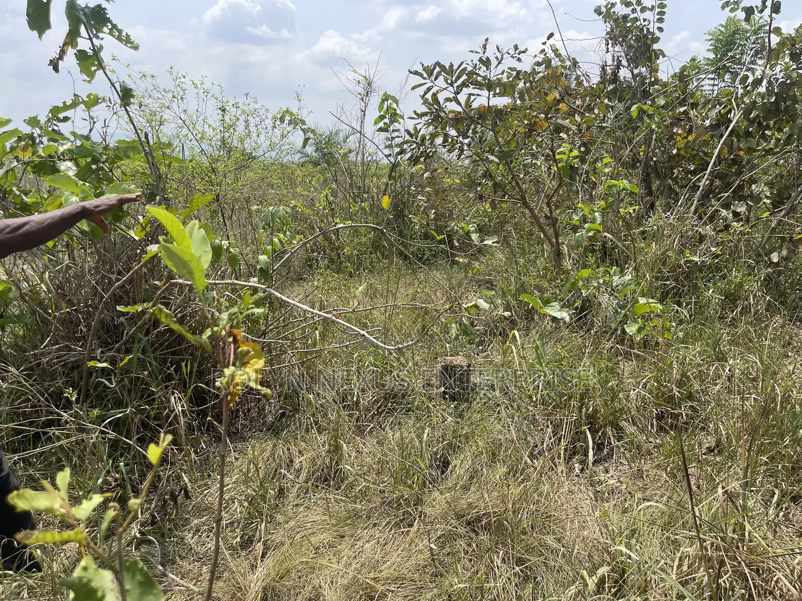 40 Acres of Land With Crops