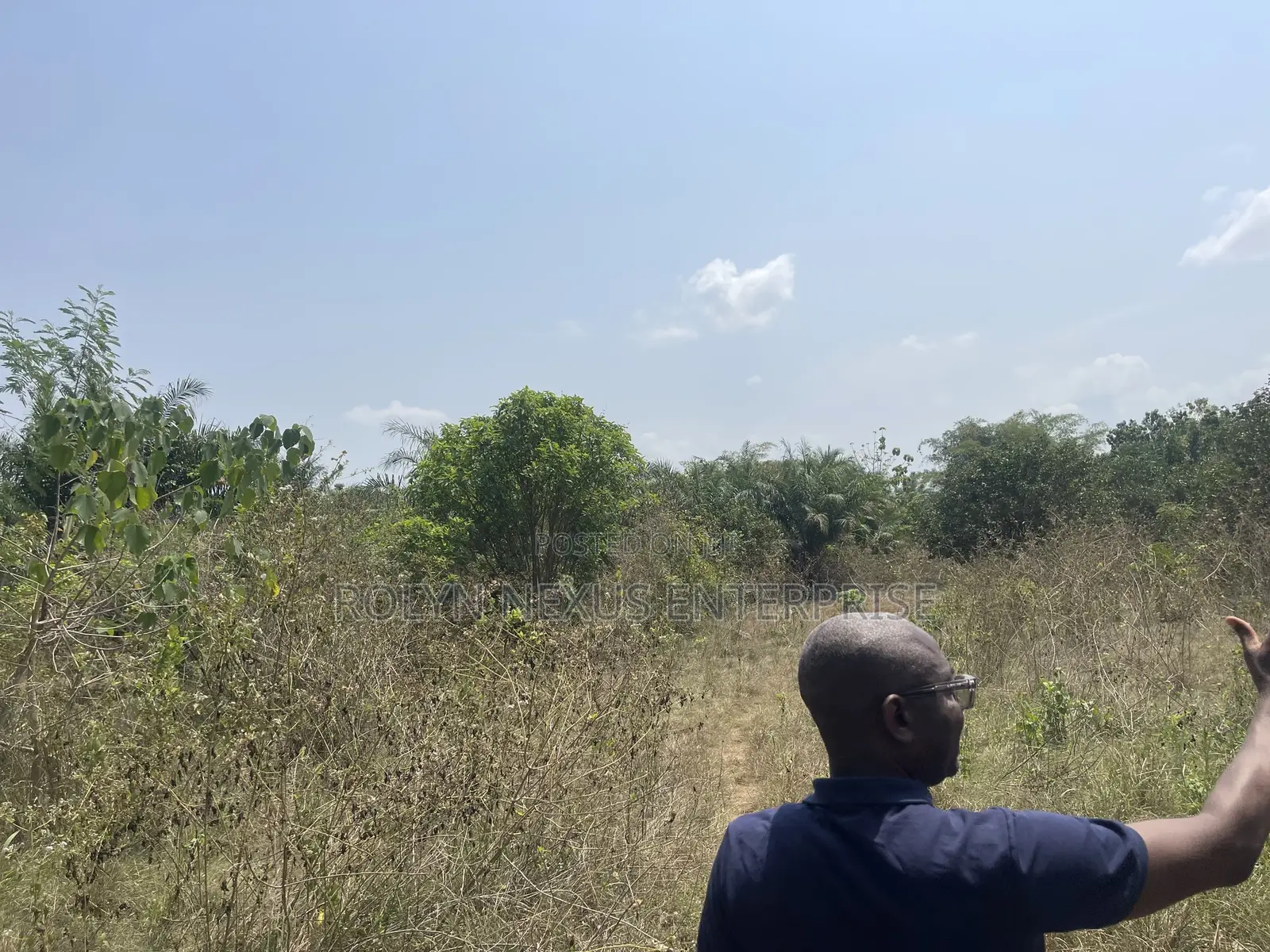 40 Acres of Land With Crops