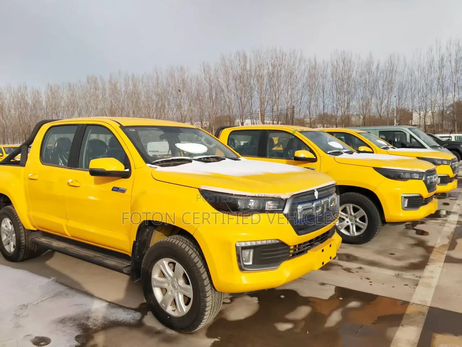 Foton Ev G7 Pickup