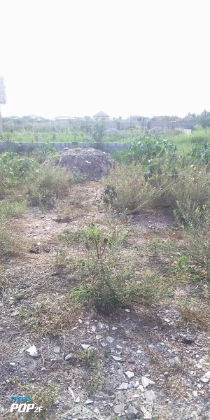Located at Tetegu, Know Litigation.Land Document Signed by the Chiefs.