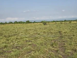 1200 Acres of Land at Asutuare