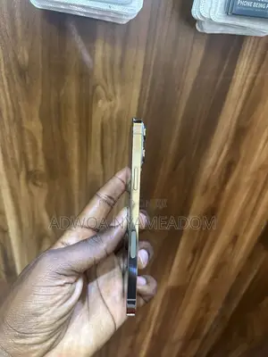 Apple iPhone 13 Pro Max 256 GB Gold