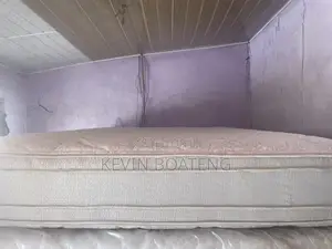 Body Tech Beds(Queen) 60/80 14inches