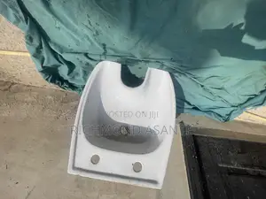 Salon Hair Dryer
