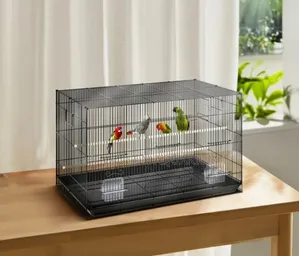 Double Metallic Bird Cage