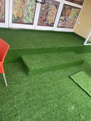 Indoor and Outdoor Grass Carpet / Indoor and Outdoor Astroturf